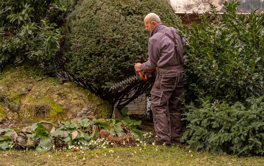 Projekce a údržba zahrad